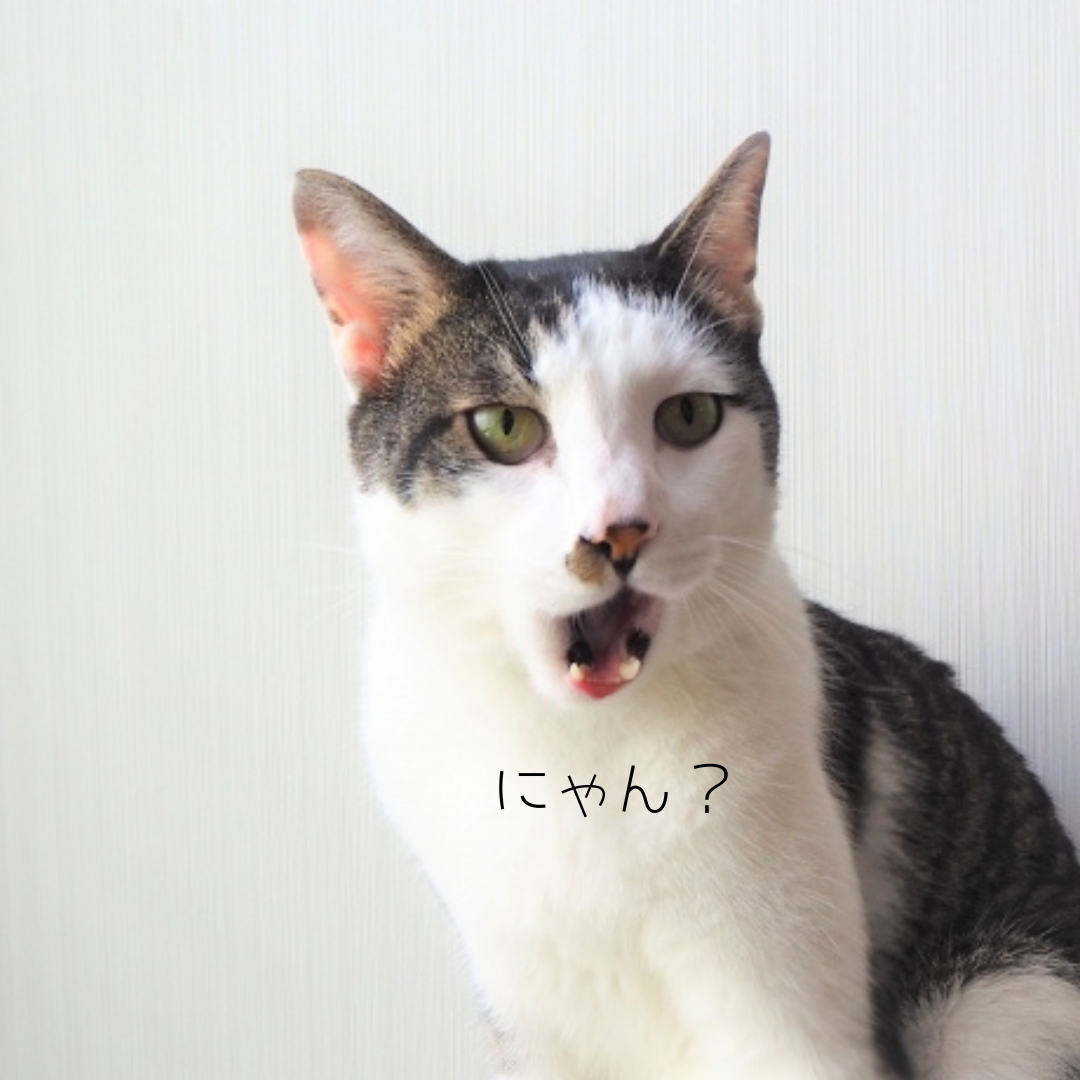 圧倒的なアウトプット量