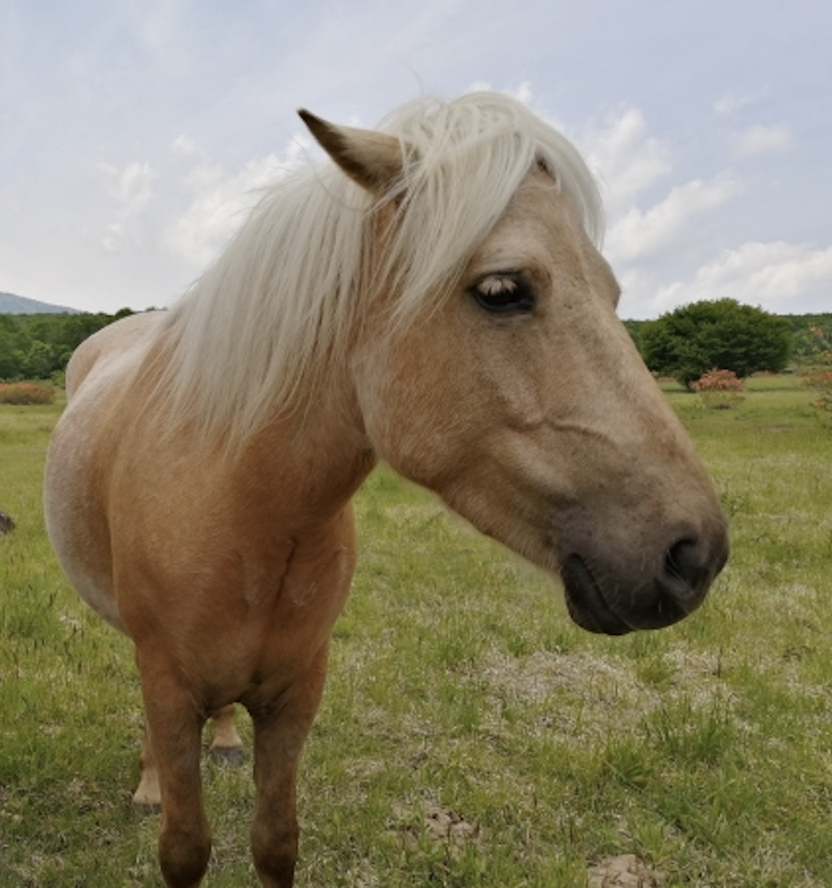 失敗を恐れない気持ちを養う