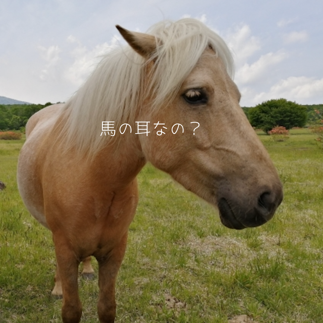 失敗を恐れない気持ちを養う